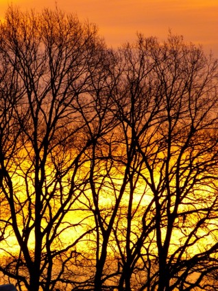 sunrise_winter_sunrise_skies_217606